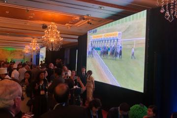 Evening team building horse racing for teams