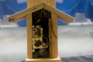 Bird box creation game