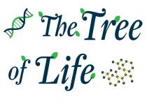 The Tree of Life Logo