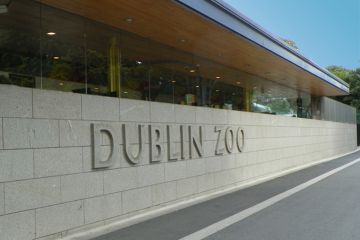 Dublin Zoo iPad treasure hunt
