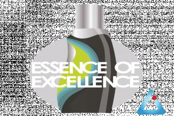 essence of excellence ai program