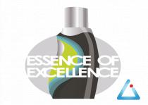 essence of excellence ai team building logo