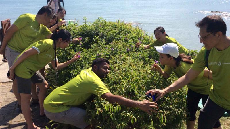 langkawi-collecting-moments